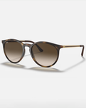 The Ray-Ban RB4274 Sunglasses in Brown