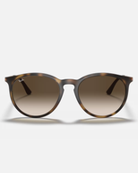 The Ray-Ban RB4274 Sunglasses in Brown