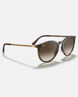 The Ray-Ban RB4274 Sunglasses in Brown