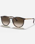 The Ray-Ban RB4274 Sunglasses in Tortoise