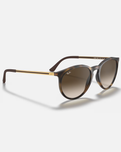 The Ray-Ban RB4274 Sunglasses in Tortoise