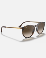 The Ray-Ban RB4274 Sunglasses in Tortoise