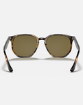 The Ray-Ban RB4306 Sunglasses in Brown