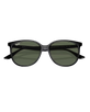 The Ray-Ban RB4378 Sunglasses in Black