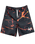 The Hype Boys Boys Lava Boardshorts in Multi