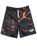 The Hype Boys Boys Lava Boardshorts in Multi