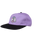 The Santa Cruz Mens Mccoy Donut Dog Cap in Digital Lavender