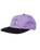 The Santa Cruz Mens Mccoy Donut Dog Cap in Digital Lavender