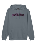 The Santa Cruz Mens Arch Strip Hoodie in Iron