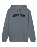 The Santa Cruz Mens Arch Strip Hoodie in Iron