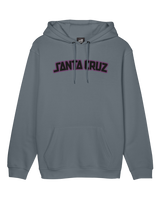 The Santa Cruz Mens Arch Strip Hoodie in Iron