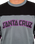 The Santa Cruz Mens Arch Strip Long Sleeve T-Shirt in Iron