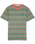 The Santa Cruz Mens Mini Hand Stripe T-Shirt in Sage