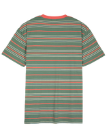The Santa Cruz Mens Mini Hand Stripe T-Shirt in Sage