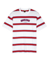 Collegiate Stripe T-Shirt in White