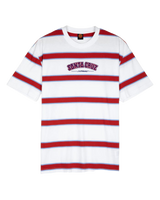 Collegiate Stripe T-Shirt in White