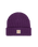 The Santa Cruz Womens Check Alt Dot Beanie in Grape