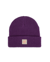 The Santa Cruz Womens Check Alt Dot Beanie in Grape