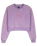 The Santa Cruz Womens TTE Swirl Sweatshirt in Digital Lavender