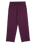 The Santa Cruz Womens Nolan Chino Trousers in Grape