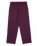 The Santa Cruz Womens Nolan Chino Trousers in Grape