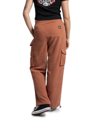 The Santa Cruz Womens Odyssey Trousers in Clay