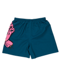 The Santa Cruz Boys Boys Screaming Hand Swimshorts in Tidal Teal