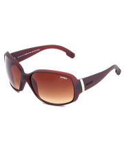 The Sinner Sunglasses Amos Sunglasses in Brown