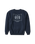 The Katin Mens Grubby Crew Sweatshirt in Polar Navy