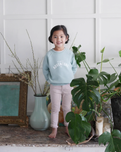 The Bob & Blossom Boys Lets Have An Adventure Sweatshirt in Sage