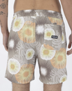 Cannonball Volley Shorts in Khaki