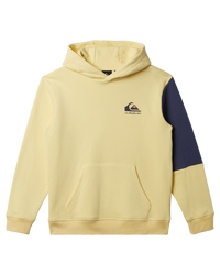 The Quiksilver Boys Boys Colour Flow Hoodie in Mellow Yellow