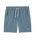 The Vuori Mens Kore Shorts in Kashmir