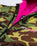 The Dryrobe Advance Long Sleeved in Camo & Pink