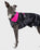 The Dryrobe Dog Dryrobe in Black Camo & Pink