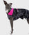 The Dryrobe Dog Dryrobe in Black Camo & Pink