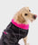 The Dryrobe Dog Dryrobe in Black Camo & Pink
