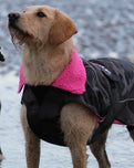 The Dryrobe Dog Dryrobe in Black Camo & Pink