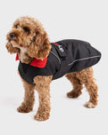 The Dryrobe Dog Dryrobe in Black & Red