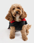 The Dryrobe Dog Dryrobe in Black & Red