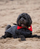 The Dryrobe Dog Dryrobe in Black & Red