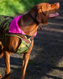 The Dryrobe Dog Dryrobe in Camo & Pink