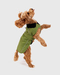 The Dryrobe Dog Dryrobe in Forest Green & Black