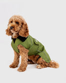 The Dryrobe Dog Dryrobe in Forest Green & Black