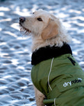 The Dryrobe Dog Dryrobe in Forest Green & Black