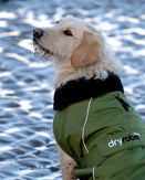 The Dryrobe Dog Dryrobe in Forest Green & Black