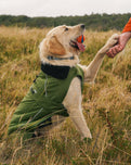 The Dryrobe Dog Dryrobe in Forest Green & Black