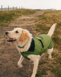 The Dryrobe Dog Dryrobe in Forest Green & Black