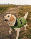 The Dryrobe Dog Dryrobe in Forest Green & Black