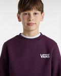 Boys Exposition Check Crew Sweatshirt in Blackberry Wine